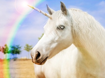 a beautiful unicorn