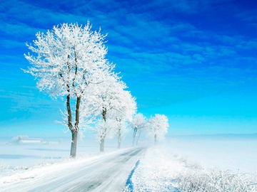 blizzard scene