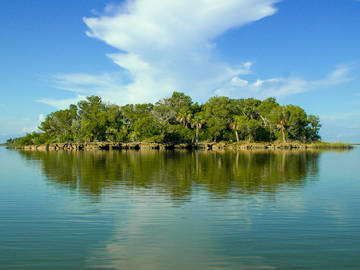 desert island