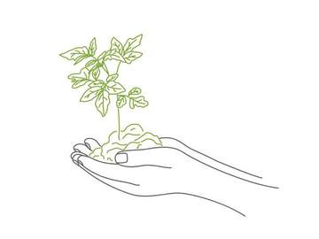 drawing of hands holding a plant sprout