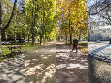 four-seasons-photo