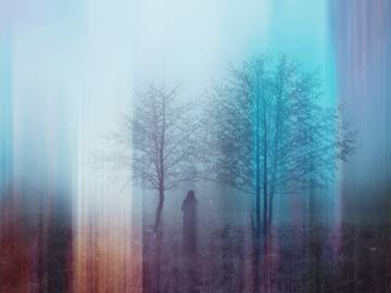A spooky photo of an indistinct figure standing in a foggy field between bare trees.