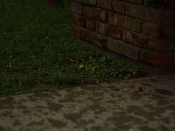 petrichor rain slang definition