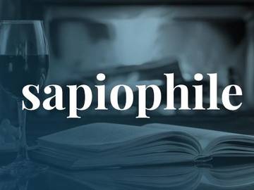 sapiophile definition attracted to intelligence