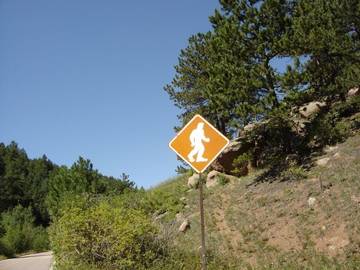 sasquatch crossing photo illusive or elusive