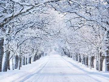 snow covered lane