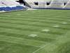 Word of the Day: gridiron