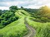 Word of the Day: verdant