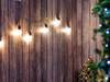 Word of the Day: incandescent