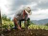 Word of the Day: agrarian