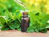 Word of the Day: tincture