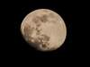 Word of the Day: gibbous