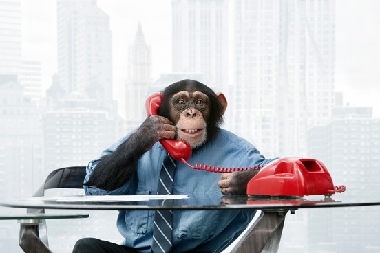 a thoughtful guide to words about nonsense monkeyshines