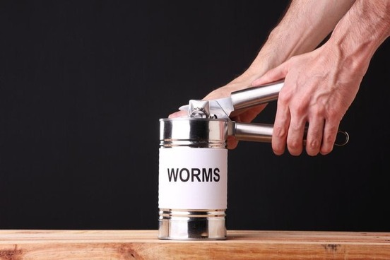 animal problem words can of worms
