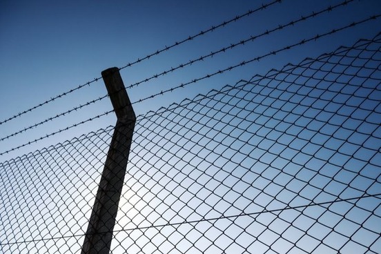 barbed wire fence photo