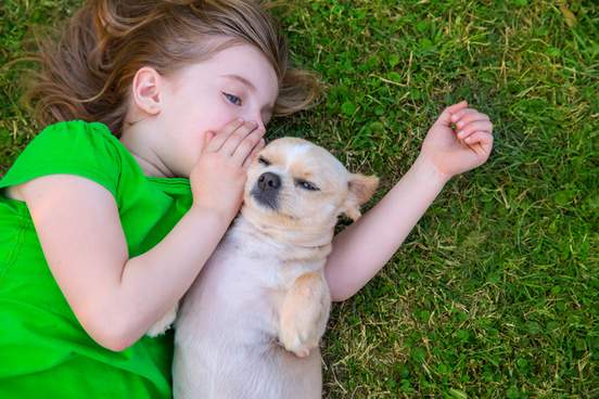 blond happy girl whispering with her chihuahua doggy lying on lawn