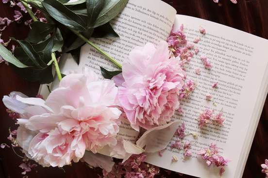 book with flowers laid atop