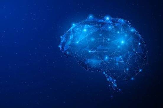 brain-illustration
