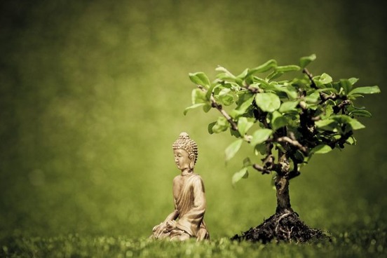 buddhist terms bodhi bodhisattva definition
