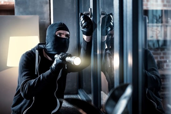 cat burglar misnomer photo