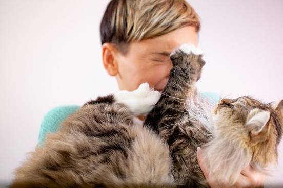 cat-pawing-owners-face