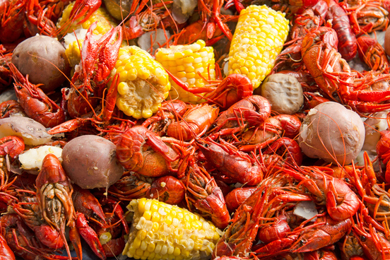crayfish