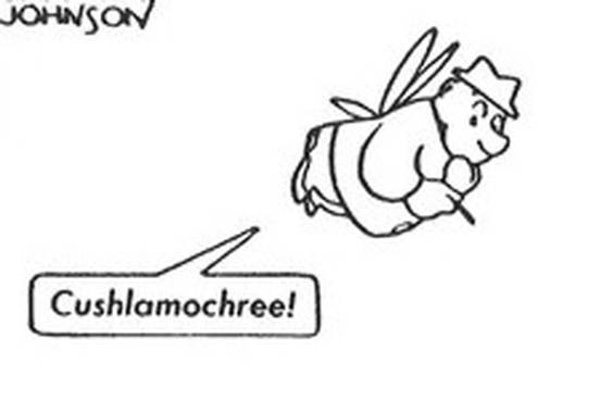 cushlamachree
