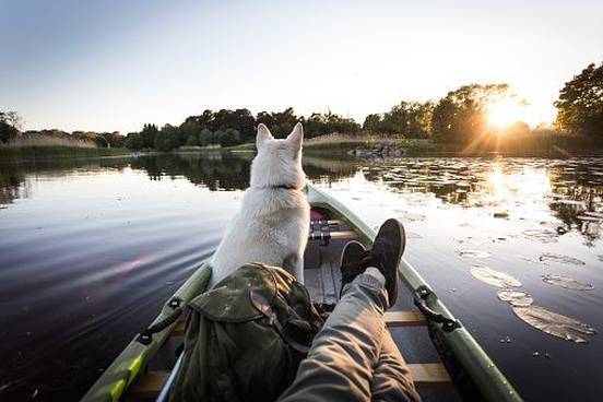 dog-and-owner-on-canoe