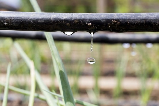 driblet words for small things water drop
