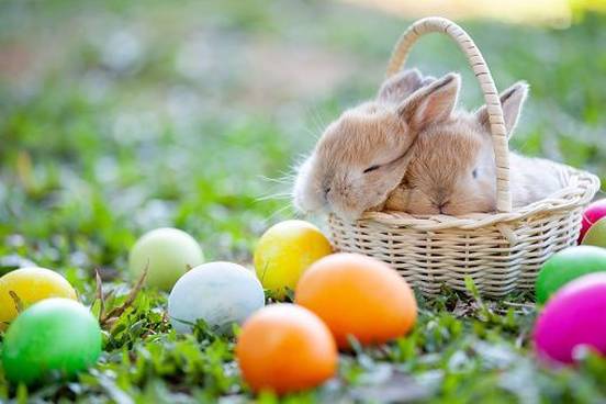 easter-basket-with-bunnies