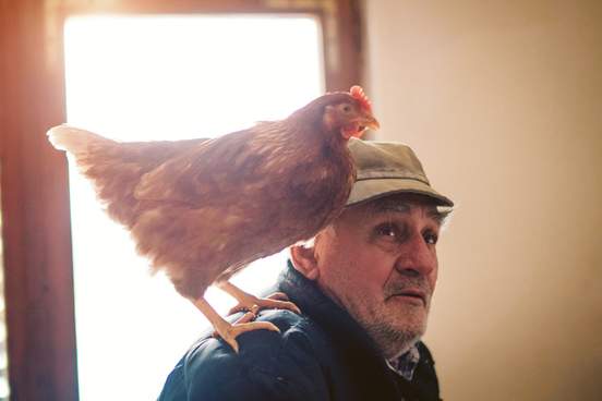 elderly man with chicken sitting on his shoulder