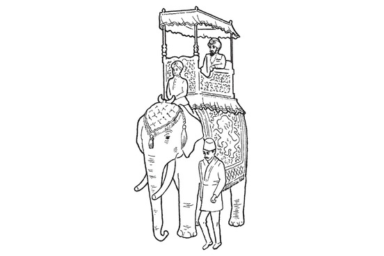 favorite pictures in the dictionary howdah