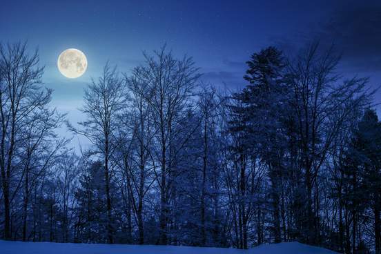 full moon on a snowy night
