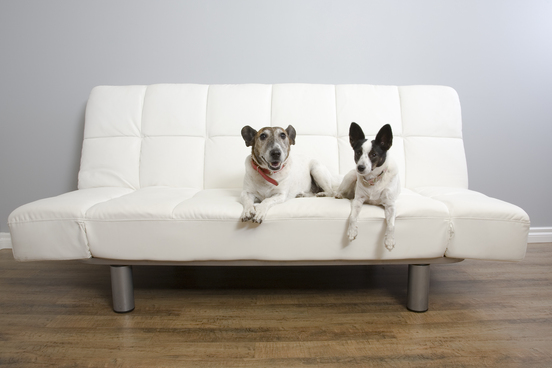 futon