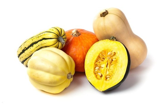 harvest words squash