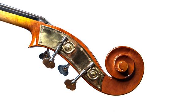 head of a double bass