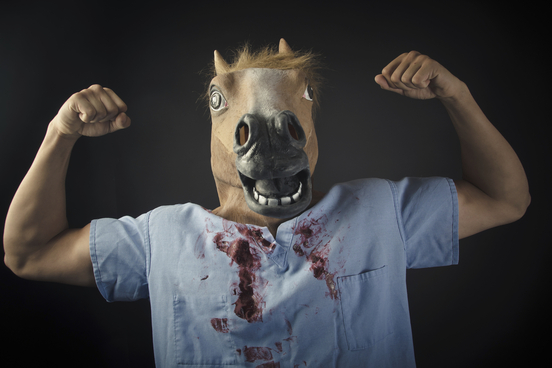 horse doctor