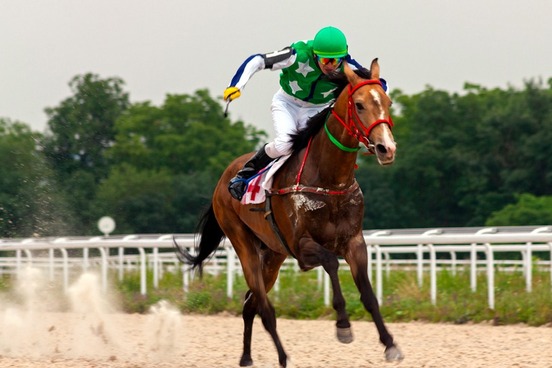 horse race