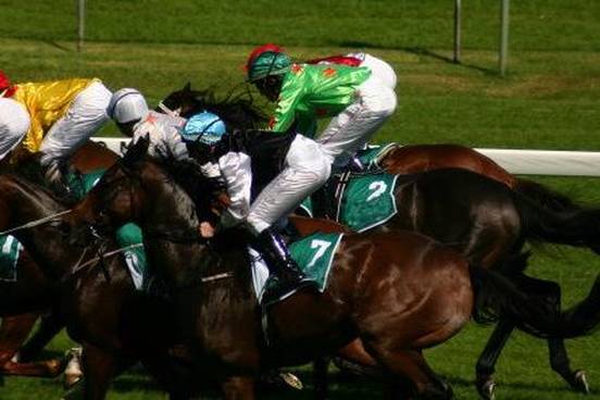 horse-race