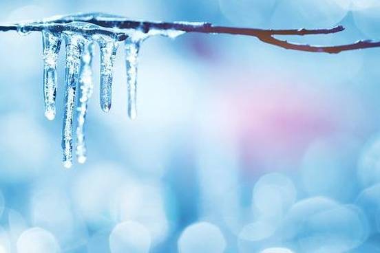 icicles-on-branch