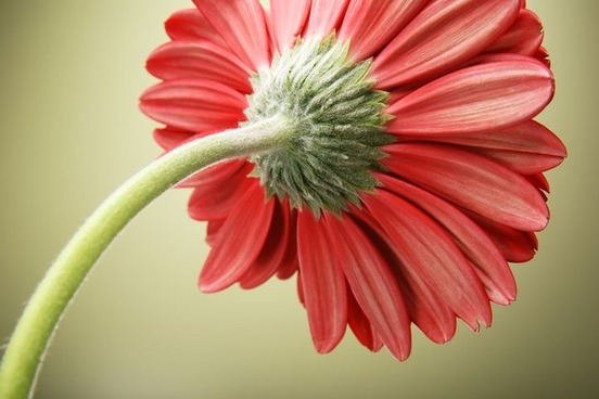 image1351773504