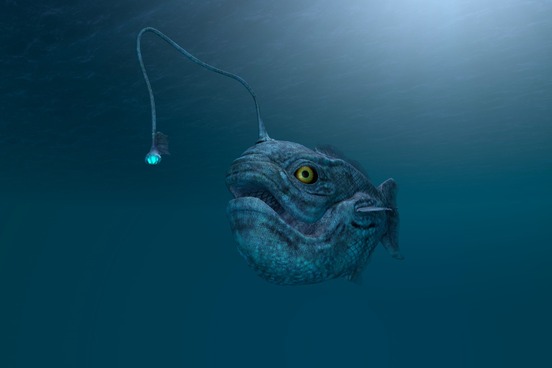 image1370266625