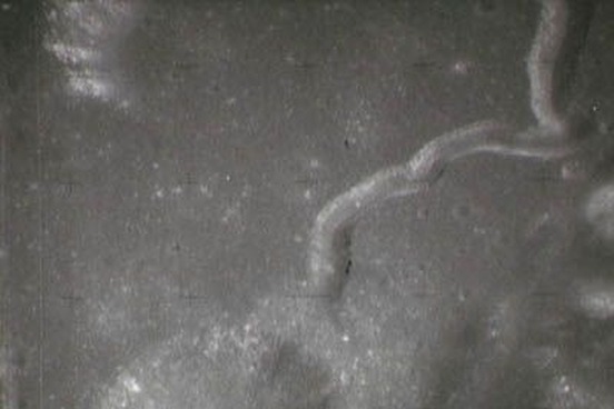 image1819364677