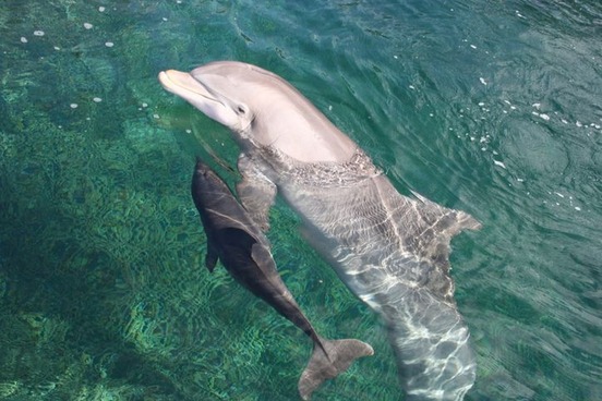 image573309898