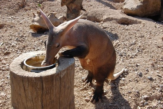image668505891