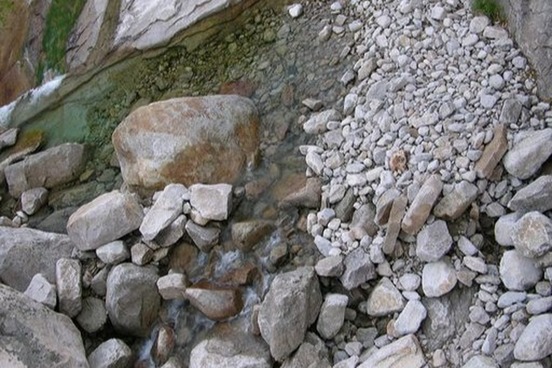 image816383255