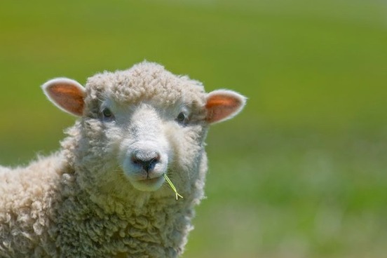 image983990475