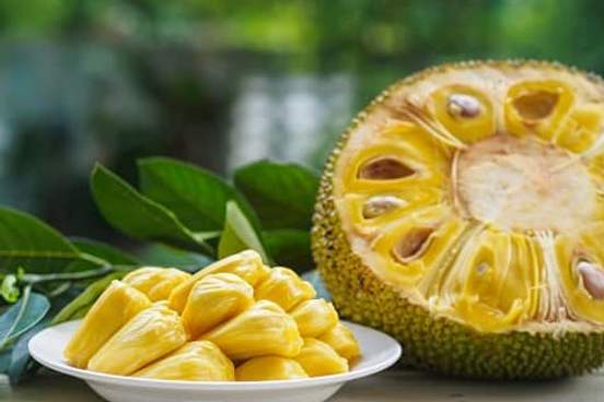 jackfruit sliced open