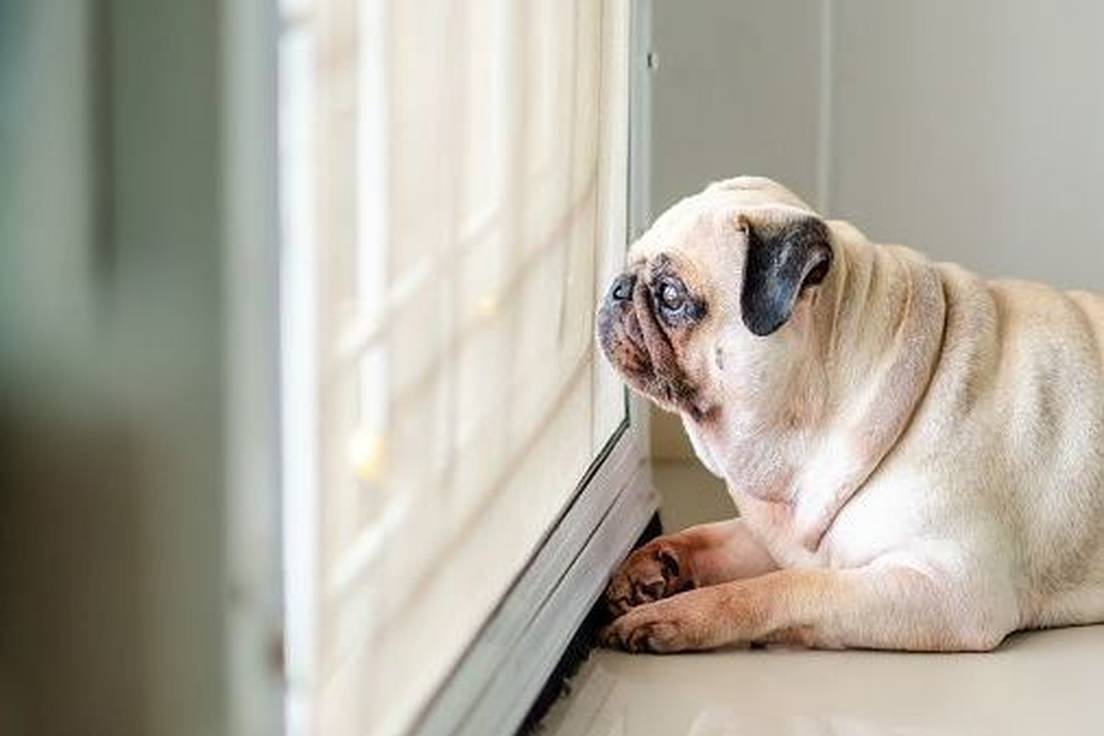Words for Being Alone | Merriam-Webster
