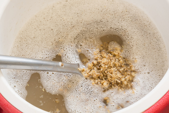 malt mash